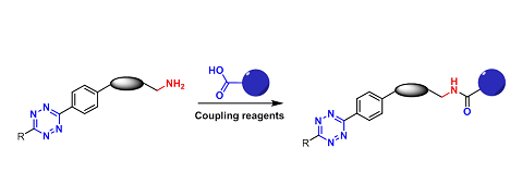 1,2,4,5-Tetrazine-Carboxyl/Carbonyl Reactive（1,2,4,5-四嗪-羧基/羰基反应）